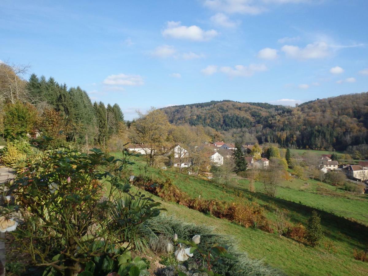 Villa Cora Venez Neuve Avec Spa Saint-Bresson Bagian luar foto